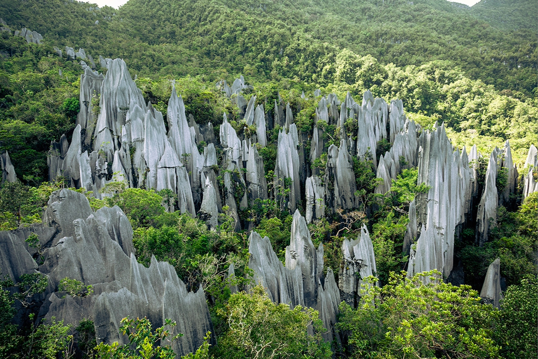 03D02N MULU CAVES